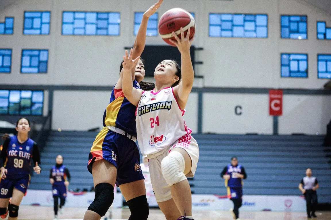 courtvision-1232-1.webp